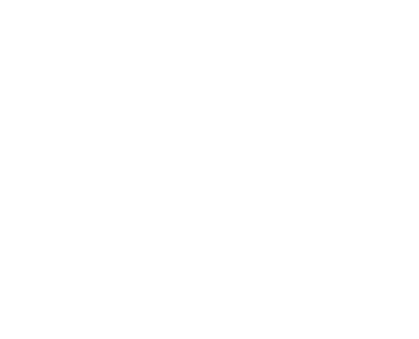 My Pet Carnivore - Enrichment Treats & Puzzles